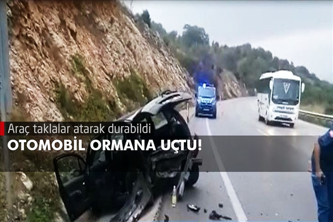 OTOMOBİL ORMANA UÇTU!