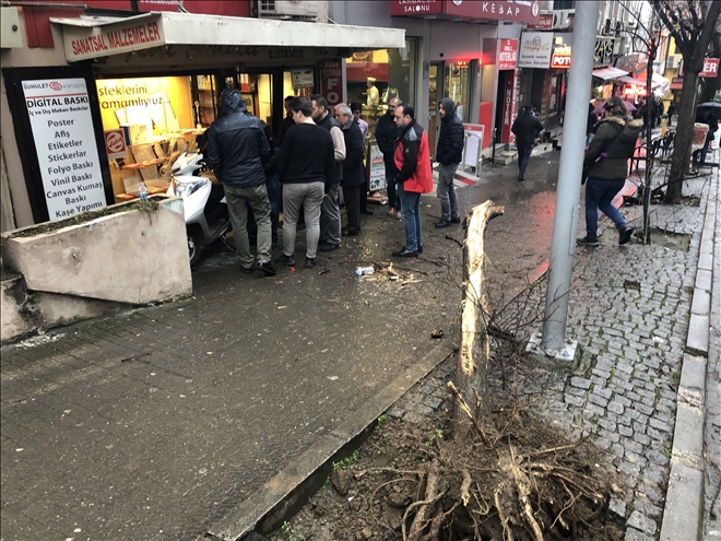 /resimler/2019-1/12/1636462767514.jpg /resimler/2019-1/12/1636462767514.jpg