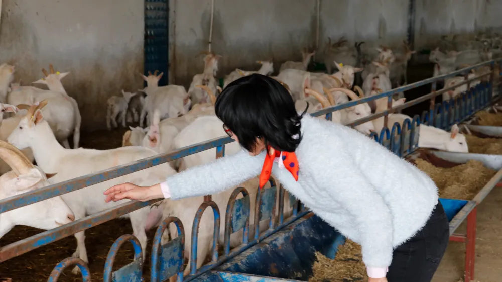 Güney Koreli girişimci kadın, ailesiyle yerleştiği Kocaeli