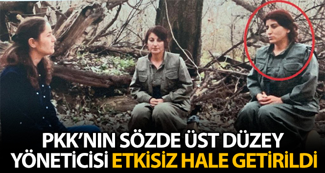 PKK`nın sözde üst düzey yetkilisi Nazife Bilen etkisiz hale getirildi