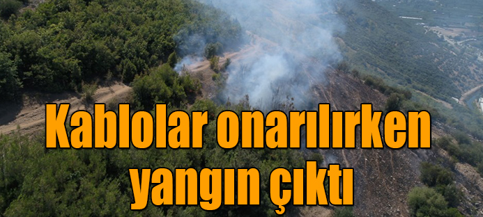 Bursa`da hırsızların çaldığı kabloların yenisi yapılırken orman yangını çıktı
