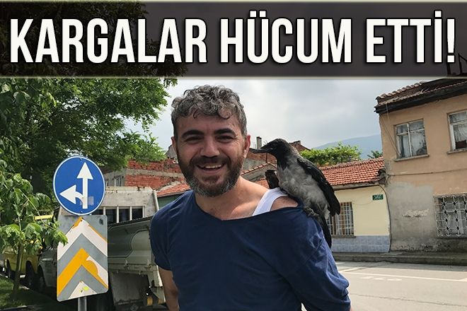 KARGALAR HÜCUM ETTİ!