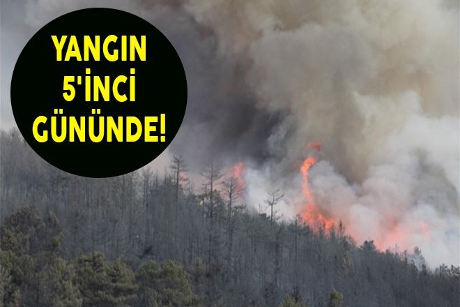 YANGIN 5´İNCİ GÜNÜNDE! 