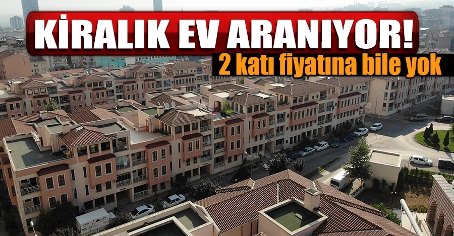  Kiracı çok kiralık ev yok  