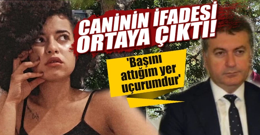 Her satırı dehşet! Caninin ifadesi ortaya çıkarken, kayıp parçalar aranıyor