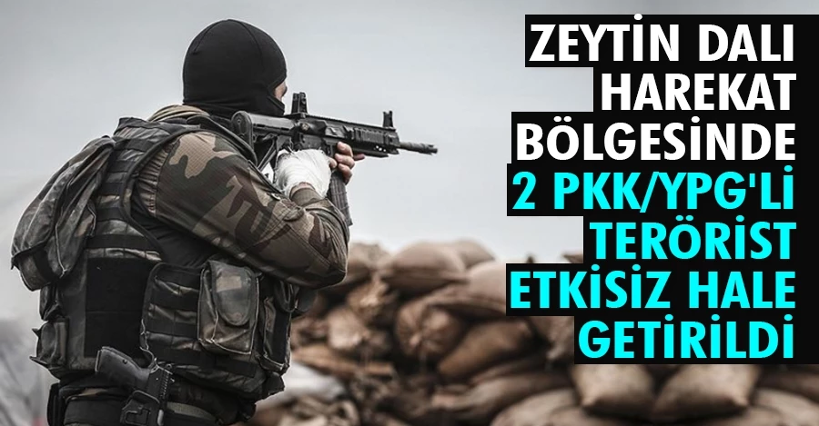 Zeytin Dalı harekat bölgesinde 2 PKK/YPG