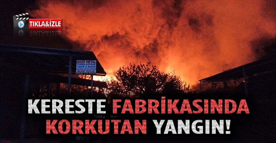  Yalova’da kereste fabrikasında korkutan yangın 