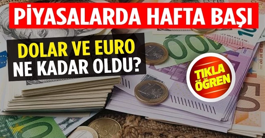 Piyasalarda hafta başı 13 Haziran Dolar ve Euro kaç TL?