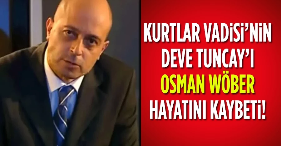Kurtlar Vadisi