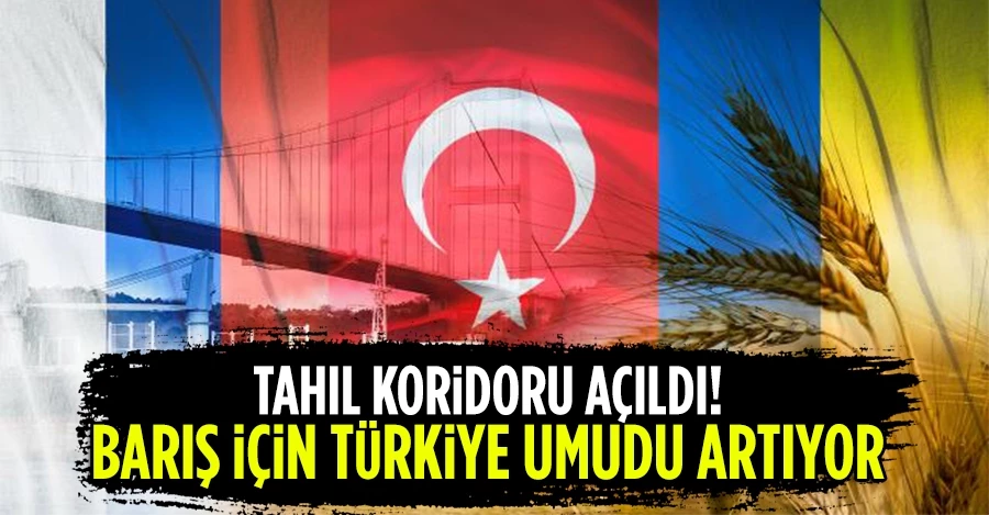 Tahıl koridoru açıldı: Barış için Türkiye umudu artıyor 