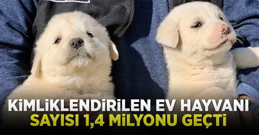 1,4 milyonu aşkın ev hayvanı kayıt altına alındı