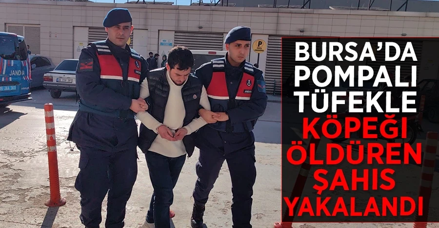 Bursa’da pompalı tüfekle köpeği öldüren şahıs yakalandı   