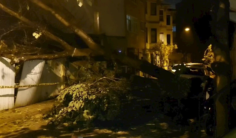 Üsküdar’da evin bahçe duvarına ağaç devrildi
