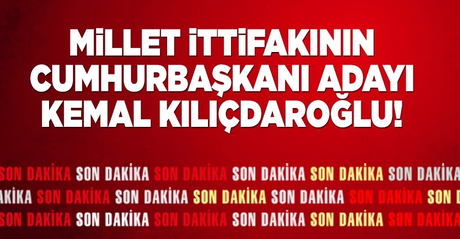 Kemal Kılıçdaroğlu, Millet İttifakı