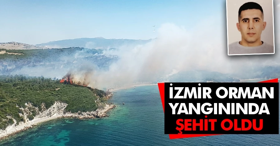 İzmir’deki orman yangınında bir personel Şehit oldu
