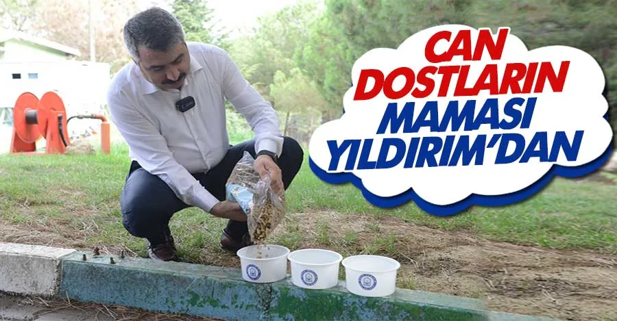 ATIK GIDALAR MAMAYA DÖNÜŞÜYOR