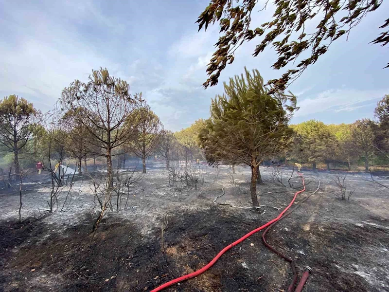 Biga’da çıkan orman yangını büyümeden söndürüldü
