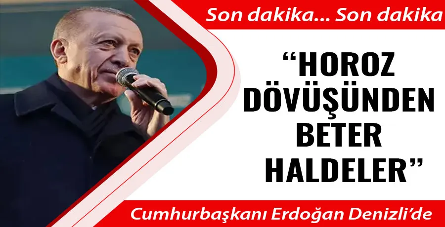 Erdoğan Denizli