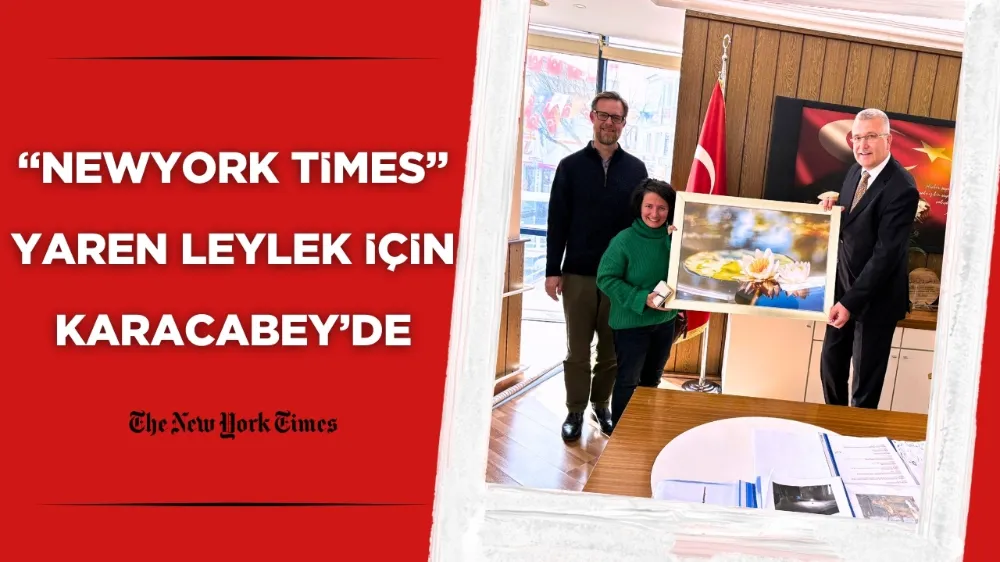 Yaren Leylek Amerika