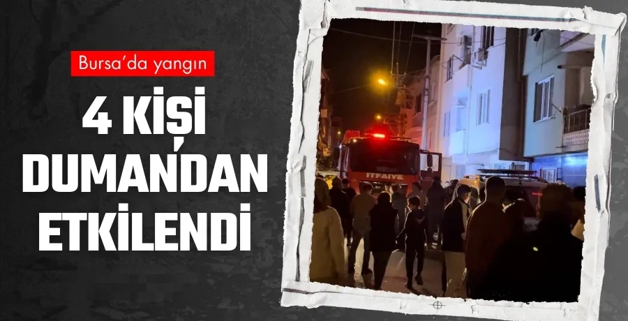 Bursa
