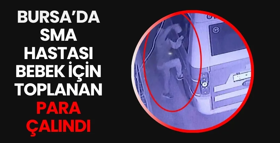 Bursa