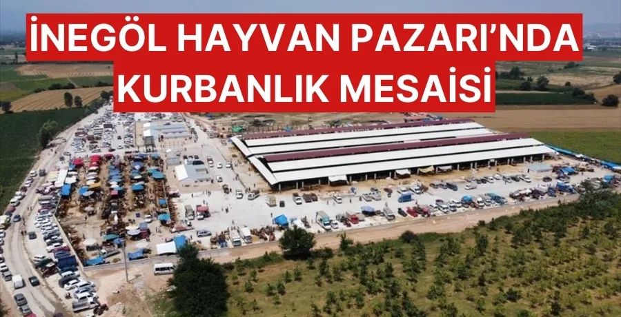 İnegöl Hayvan Pazarı kurbanlık girişlerine hazır