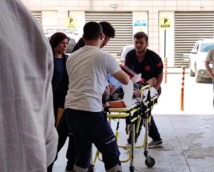 Yetiştirdiği arıların kurbanı oldu