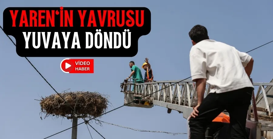 Yaren leylek