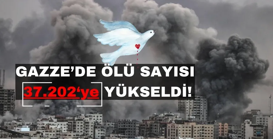 Gazze