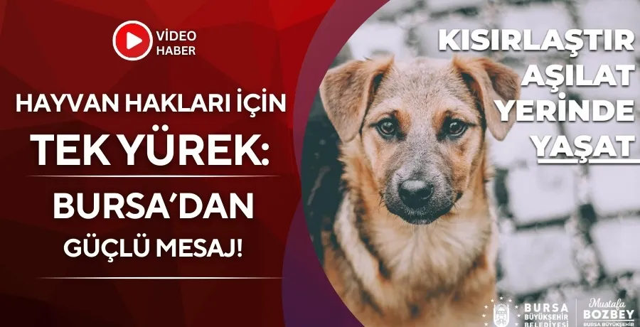 Hayvan hakları için tek yürek: Bursa’dan güçlü mesaj!