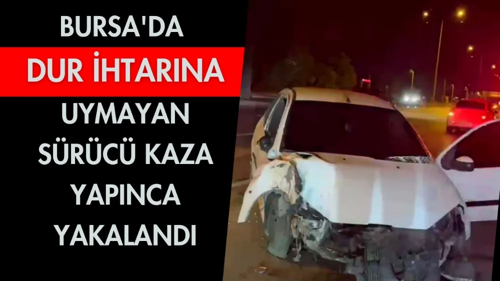 Bursa