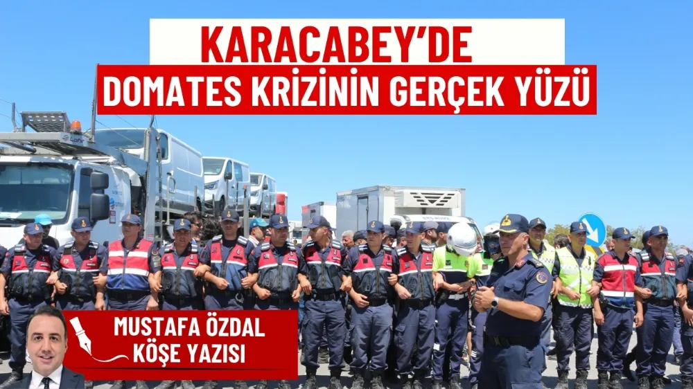 Karacabey’de domates krizinin gerçek yüzü 