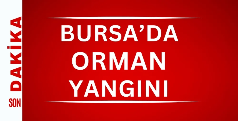 Bursa