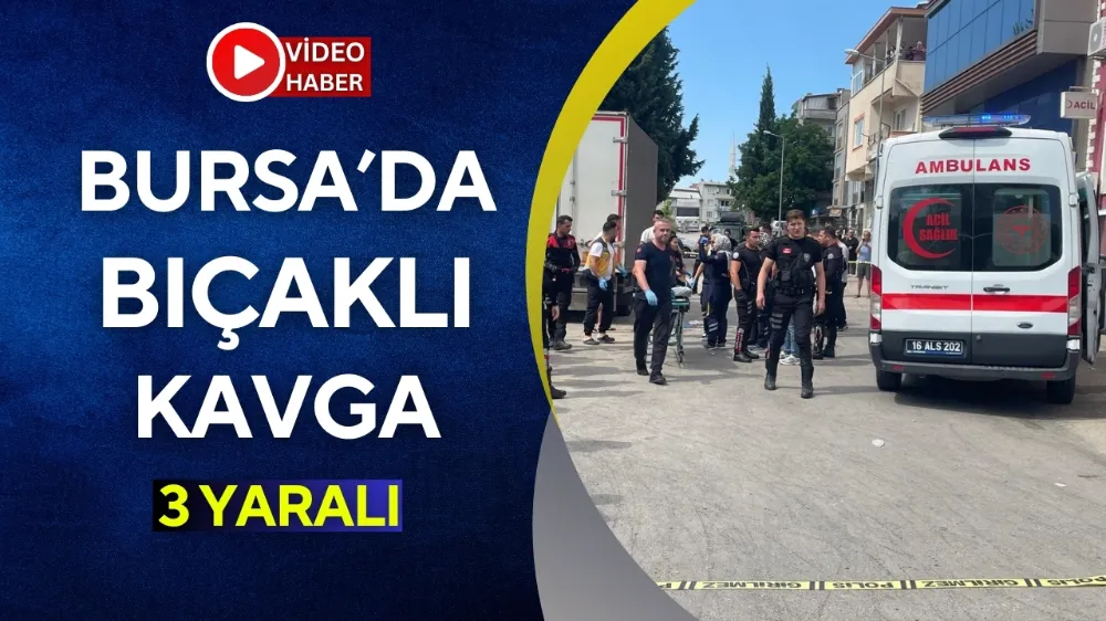 Bursa