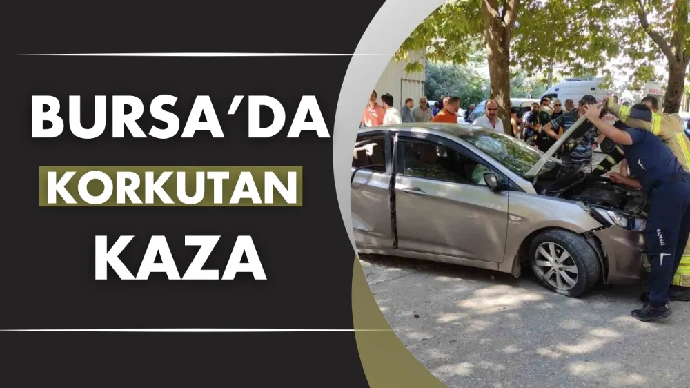 Bursa