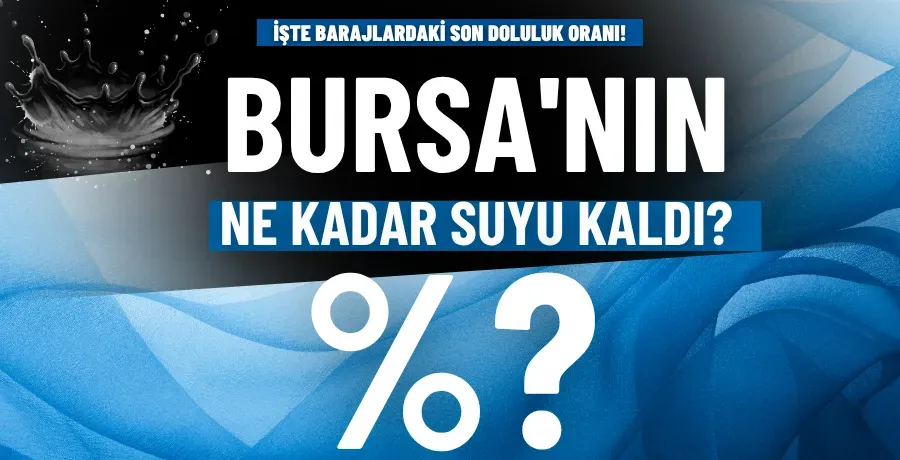 Bursa