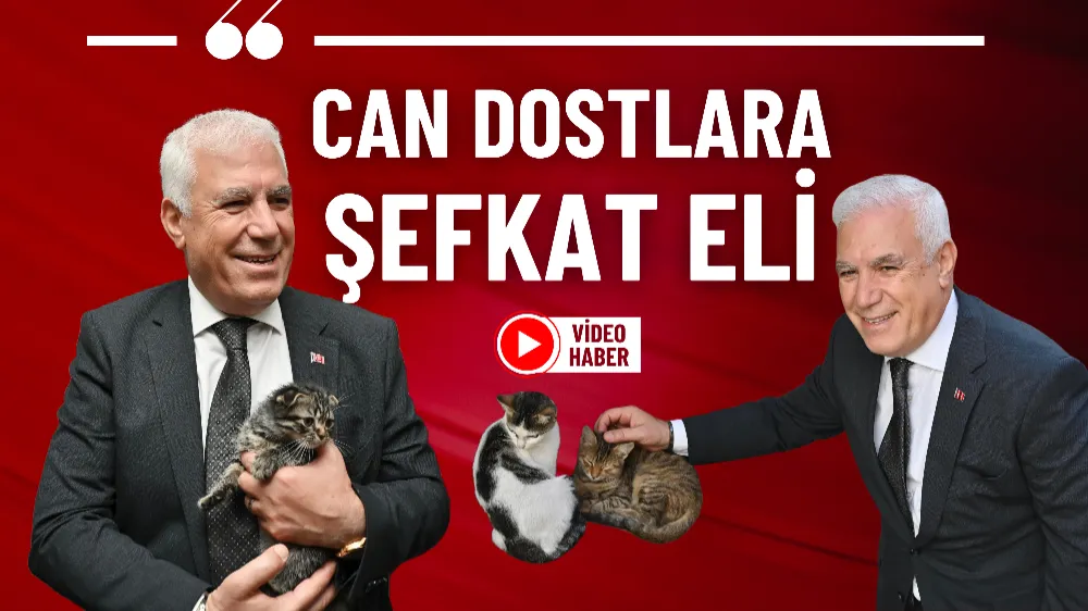 Can dostlara şefkat eli
