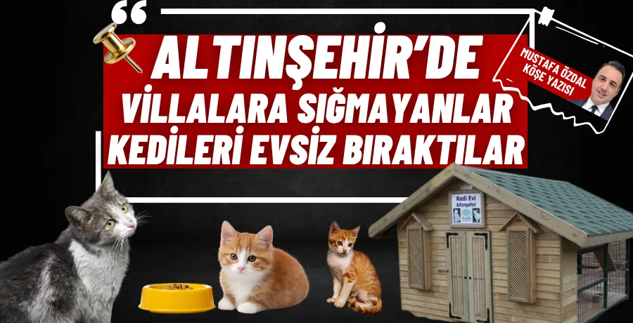 Altınşehir’de villalara sığmayanlar, kedileri evsiz bıraktılar