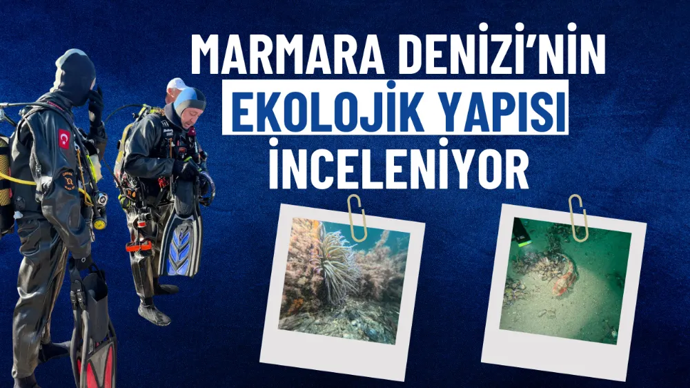 Marmara Denizi