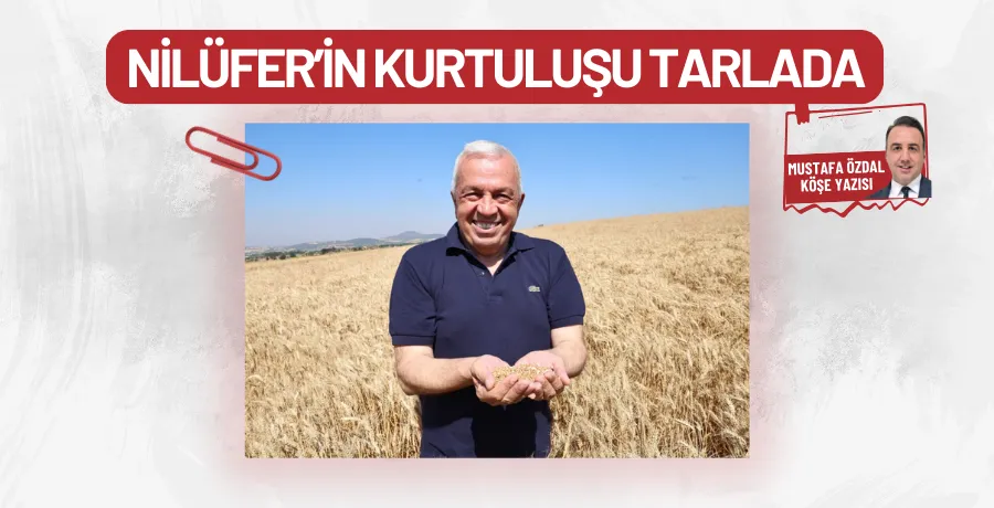 Nilüfer’in kurtuluşu tarlada 