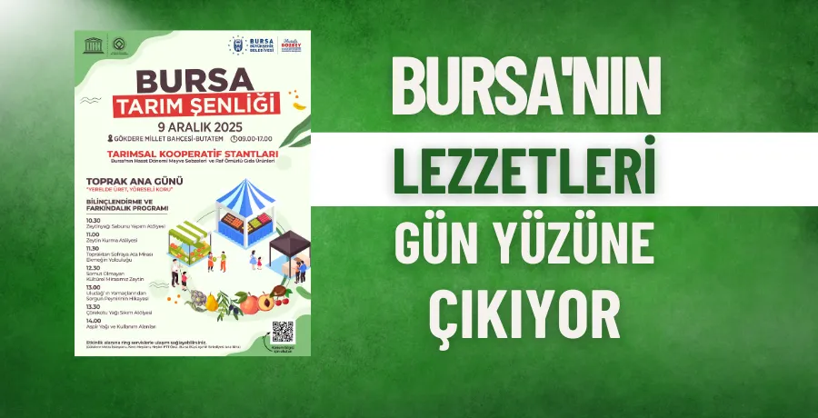 Bursa