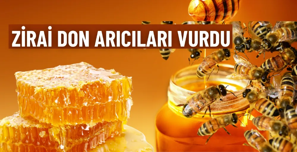 Zirai don arıcıları vurdu