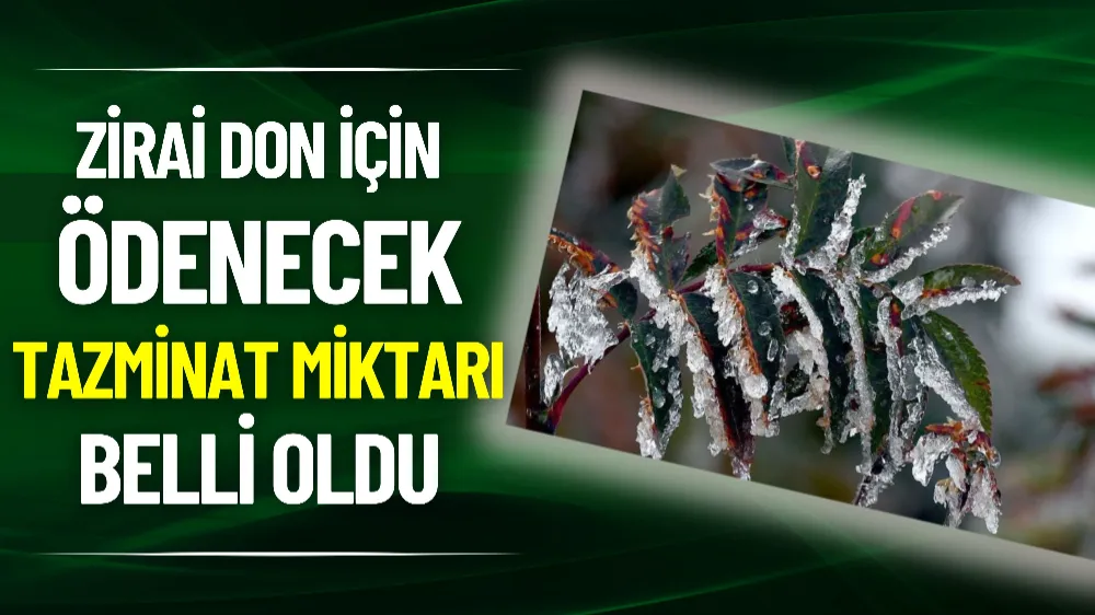 Zirai don için ödenecek tazminat miktarı belli oldu
