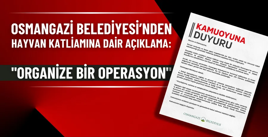 Osmangazi Belediyesi’nden hayvan katliamına açıklama: 