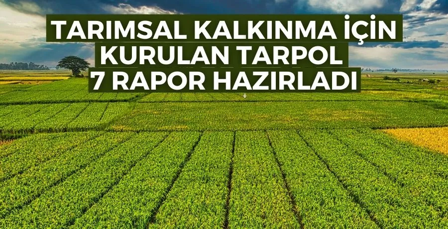 Tarımsal kalkınma için kurulan TARPOL, 7 rapor hazırladı