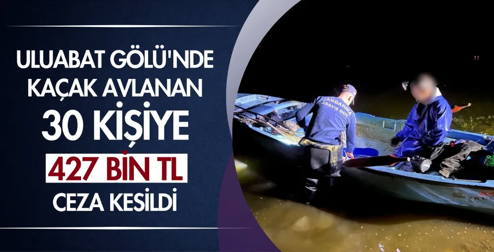 Uluabat Gölü