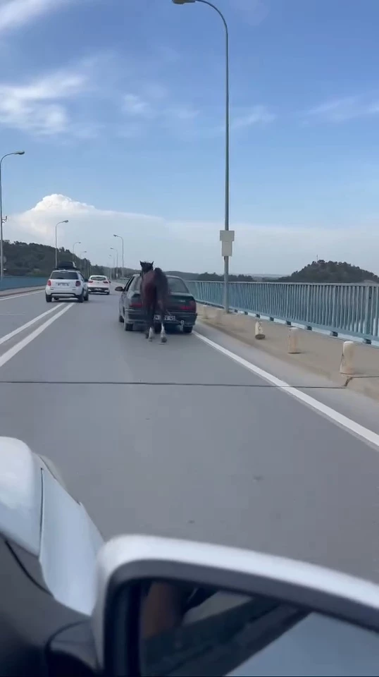 Ata eziyete 2 tutuklama