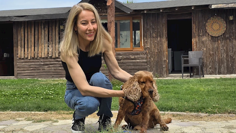 3 aydır kayıp köpeği Çilek