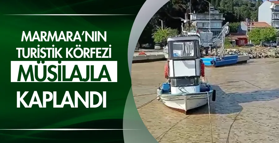 Marmara’nın turistik körfezi müsilajla kaplandı 