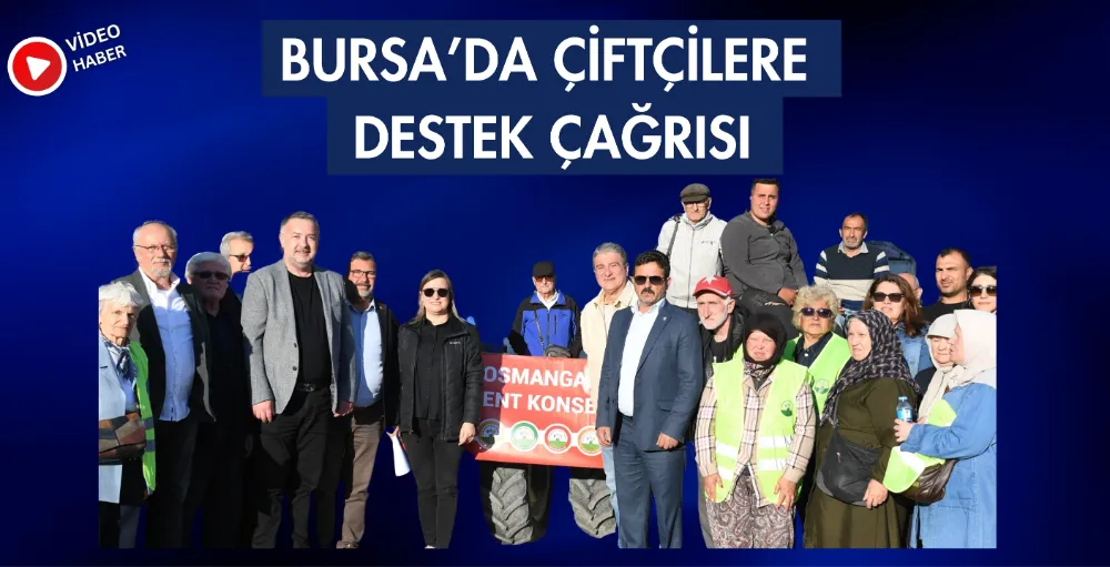 Bursa